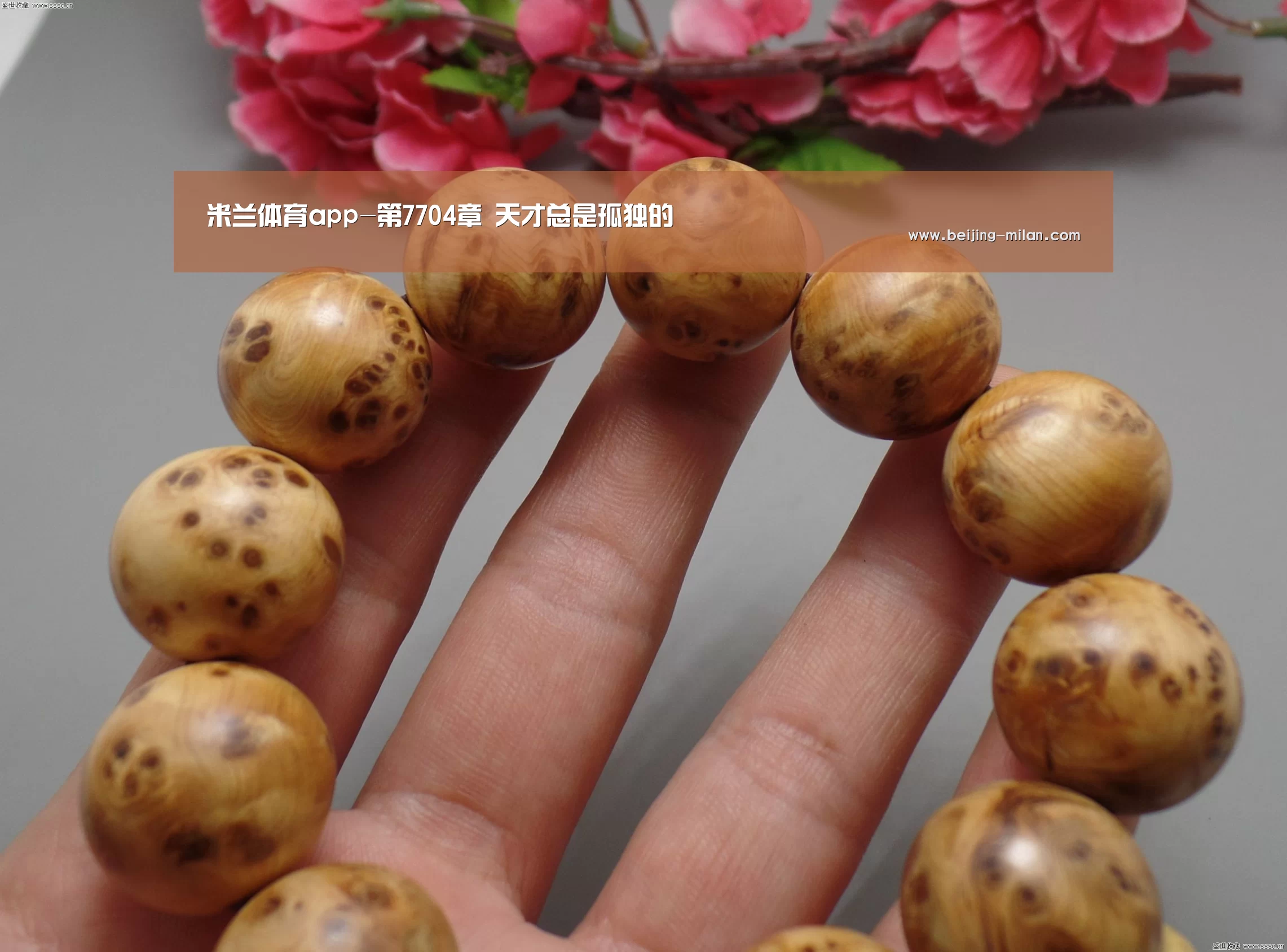 米兰体育app网址